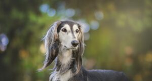 7 způsobů, jak projevit lásku k partnerovi každý den