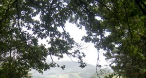 – Top 10 nejkrásnějších pláží na světě, které musíte navštívit