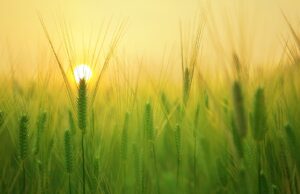 Cestování po skrytých koutech světa: Tajemné destinace pro dobrodružné cestovatele