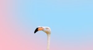 Záříme krásou: 10 tipů pro dokonalý vzhled