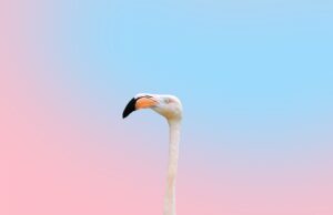 Záříme krásou: 10 tipů pro dokonalý vzhled