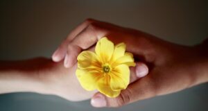 Jak zmírnit napětí ve vztahu a znovu najít lásku