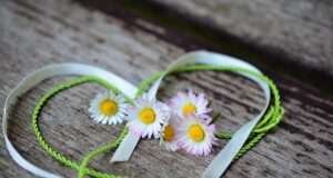 Síla lásky: Proč je největším motorem lidského života