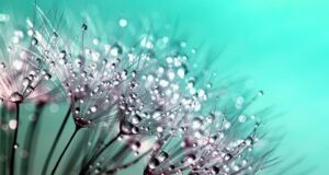 Krása zevnitř: Jak správná strava ovlivňuje vaši pleť