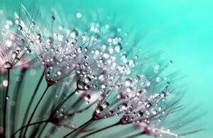 Krása zevnitř: Jak správná strava ovlivňuje vaši pleť