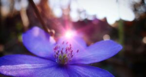 Odhalte svou tvořivost: Jak rozvíjet kreativní mysl