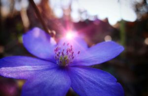 Odhalte svou tvořivost: Jak rozvíjet kreativní mysl