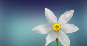 Krása zevnitř ven: Jak ovlivnit vzhled pomocí životního stylu a stravy