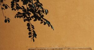 Milovat a být milován: Klíč k šťastnému partnerskému vztahu