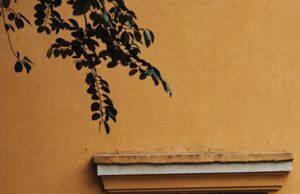 Milovat a být milován: Klíč k šťastnému partnerskému vztahu