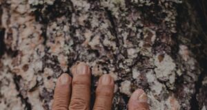 Láska a důvěra: Základní kameny šťastného vztahu