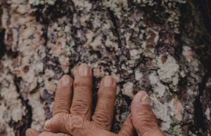 Láska a důvěra: Základní kameny šťastného vztahu