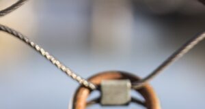 Láska jako inspirace: Jak nás láska motivuje a ovlivňuje?