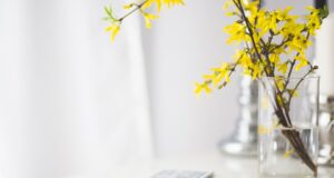 Jaká technika nám může pomoci udržet životní prostředí?