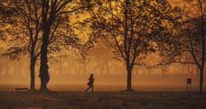 Výhody a nevýhody tréninku v týmu vs. individuálního tréninku