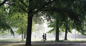 Výhody a nevýhody sportování ve skupině vs. individuálně