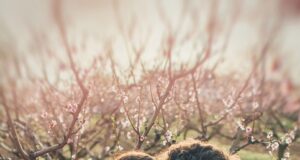 – 5 znamení, že jste skutečně zamilovaní