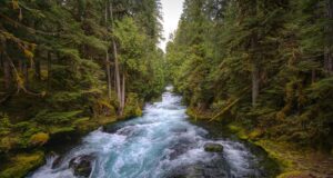 Tajemství krásy: Jak dosáhnout dokonalé pleti?