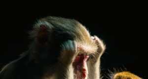 – 5 způsobů, jak projevit lásku bez slov