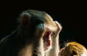 – 5 způsobů, jak projevit lásku bez slov