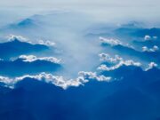 Krása bez cruelty: Jak vybrat kosmetiku nezkoušenou na zvířatech