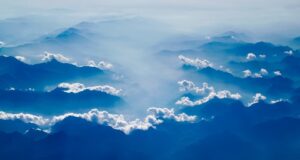 Krása bez cruelty: Jak vybrat kosmetiku nezkoušenou na zvířatech