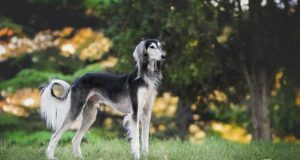 Neviditelné pouto: Příběh lásky