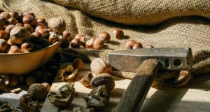 – 5 cvičení pro posílení svalů a zlepšení kondice