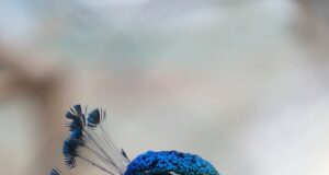 10 tipů pro krásnou pleť