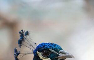 10 tipů pro krásnou pleť