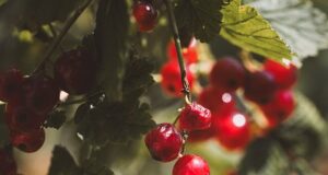 Jak udržovat dobré fyzické i duševní zdraví v hektickém světě