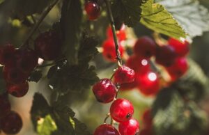 Jak udržovat dobré fyzické i duševní zdraví v hektickém světě