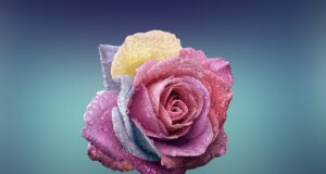 10 tipů pro dosažení dokonalé pleti: Odborné rady a triky od kosmetičky