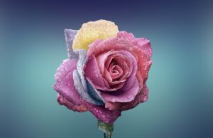 10 tipů pro dosažení dokonalé pleti: Odborné rady a triky od kosmetičky