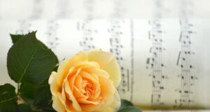 Jak udržet vášeň a romantiku ve vztahu: Tipy a rady