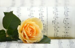 Jak udržet vášeň a romantiku ve vztahu: Tipy a rady