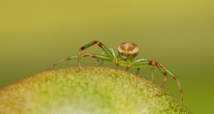 Nejnovější trendy v oblasti péče o vlasy a jak je aplikovat doma