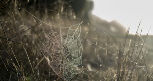 Nenechte se ovlivnit beauty standardy: Jak si najít vlastní definici krásy