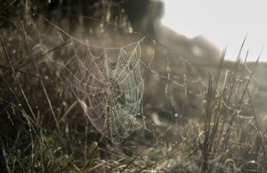 Nenechte se ovlivnit beauty standardy: Jak si najít vlastní definici krásy