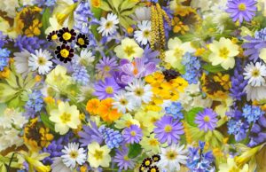 Naučte se relaxovat: Jaký vliv má stres na naši krásu