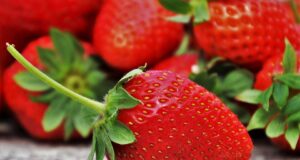 – Jak vyhnout se stresu a udržet si duševní stabilitu