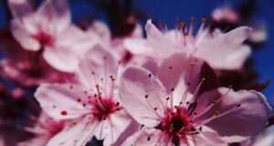 6 nápaditých způsobů, jak rozvíjet svou kreativitu každý den