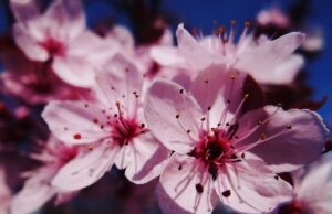 6 nápaditých způsobů, jak rozvíjet svou kreativitu každý den