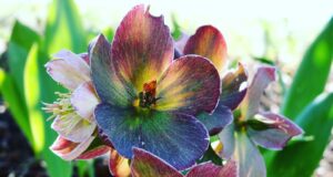 Jak najít inspiraci a rozvíjet kreativitu