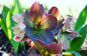 Jak najít inspiraci a rozvíjet kreativitu