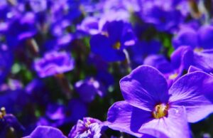 – Inspirující příběhy o kreativním myšlení