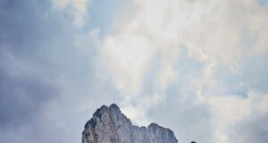 5 účinných cviků pro posílení svalů na domácím posilovacím zařízení