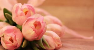 Tajemství mladistvé pleti: Jak si udržet mladistvý vzhled