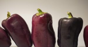 10 zásadních kroků pro udržení dobré fyzické kondice