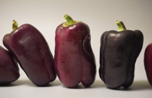 10 zásadních kroků pro udržení dobré fyzické kondice